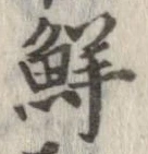 Đã định vị 鮮