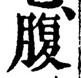 字腹