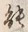 字能