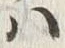 “白”字