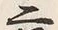 字十