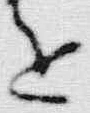 𡨸頭