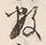 Chữ 数