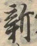 已定位新