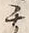 「勢」字