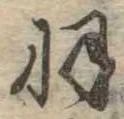 已定位羽