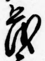 已定位茂