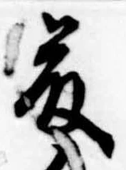 已定位藤