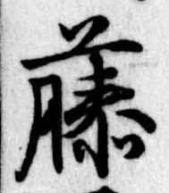 已定位藤