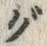 Chữ グ