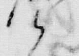 字移