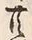 𡨸共