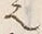 “松”字