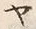 「ヤ」字