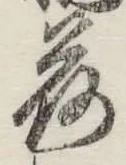 字荷