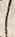 字さ