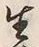 “生”字
