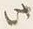 文字 此