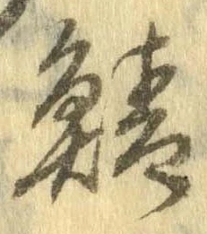 已定位鯖