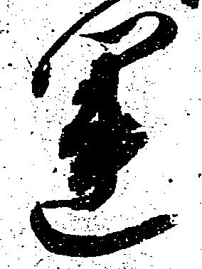 運の位置