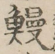 已定位鰻