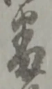 文字番