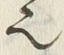 文字浜