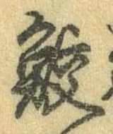位置 確認된 鮫