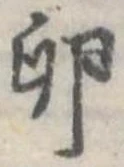 Đã định vị 卵