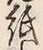 “光”字