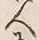 文字 願