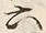 字明