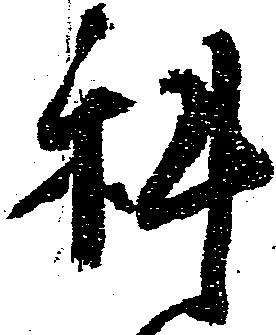 科の位置