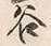 「谷」字