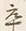 文字何