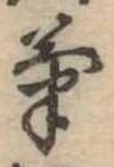 已定位菊