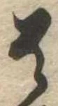 㐌定位貴