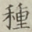 Chữ 種