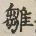 已定位雛