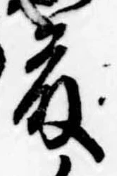 已定位藤