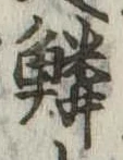 位置 確認된 鱗