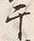Character 干