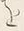 「つ」字