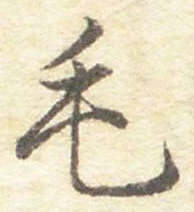 字毛