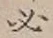 Character 必