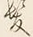 文字髪