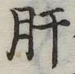 已定位肝