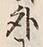 Character 外