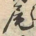 Located 尾