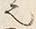“也”字